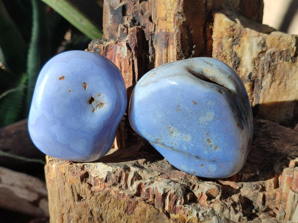 Polished Blue Lace Agate Free Forms x 6 From Nsanje, Malawi - Toprock Gemstones and Minerals 