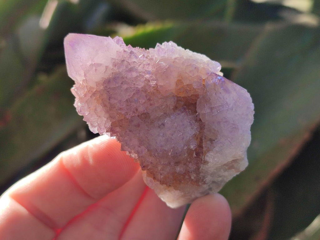 Natural Spirit Ametrine Clusters x 12 From Boekenhouthoek, South Africa - Toprock Gemstones and Minerals 