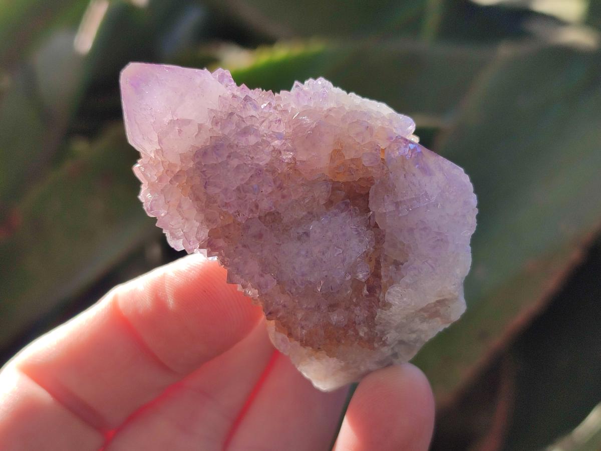 Natural Spirit Ametrine Clusters x 12 From Boekenhouthoek, South Africa - Toprock Gemstones and Minerals 