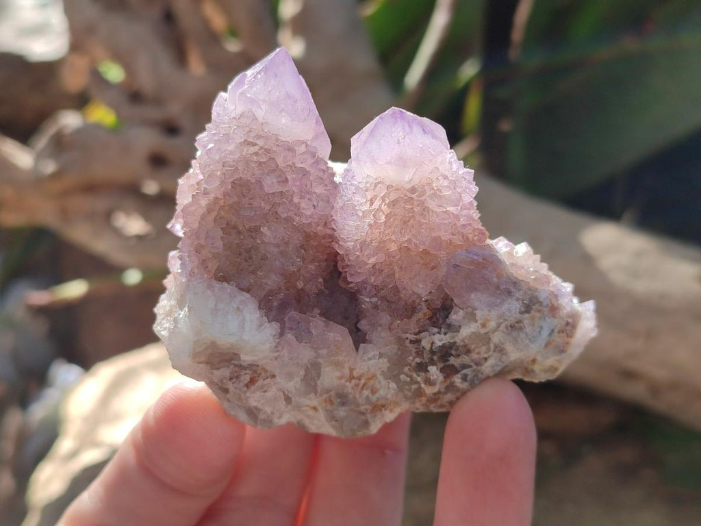 Natural Spirit Ametrine Clusters x 12 From Boekenhouthoek, South Africa - Toprock Gemstones and Minerals 