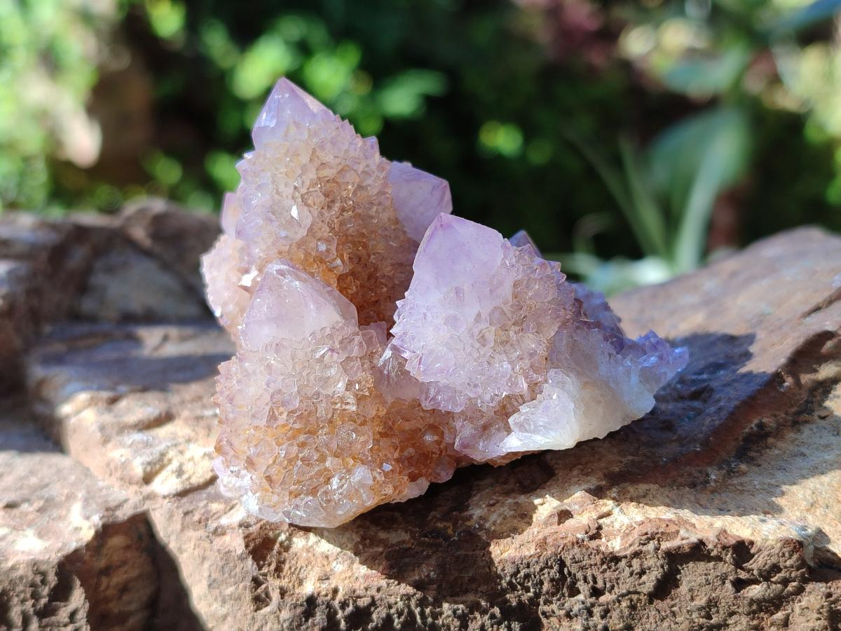 Natural Spirit Ametrine Clusters x 12 From Boekenhouthoek, South Africa - Toprock Gemstones and Minerals 