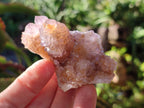 Natural Spirit Ametrine Clusters x 12 From Boekenhouthoek, South Africa - Toprock Gemstones and Minerals 