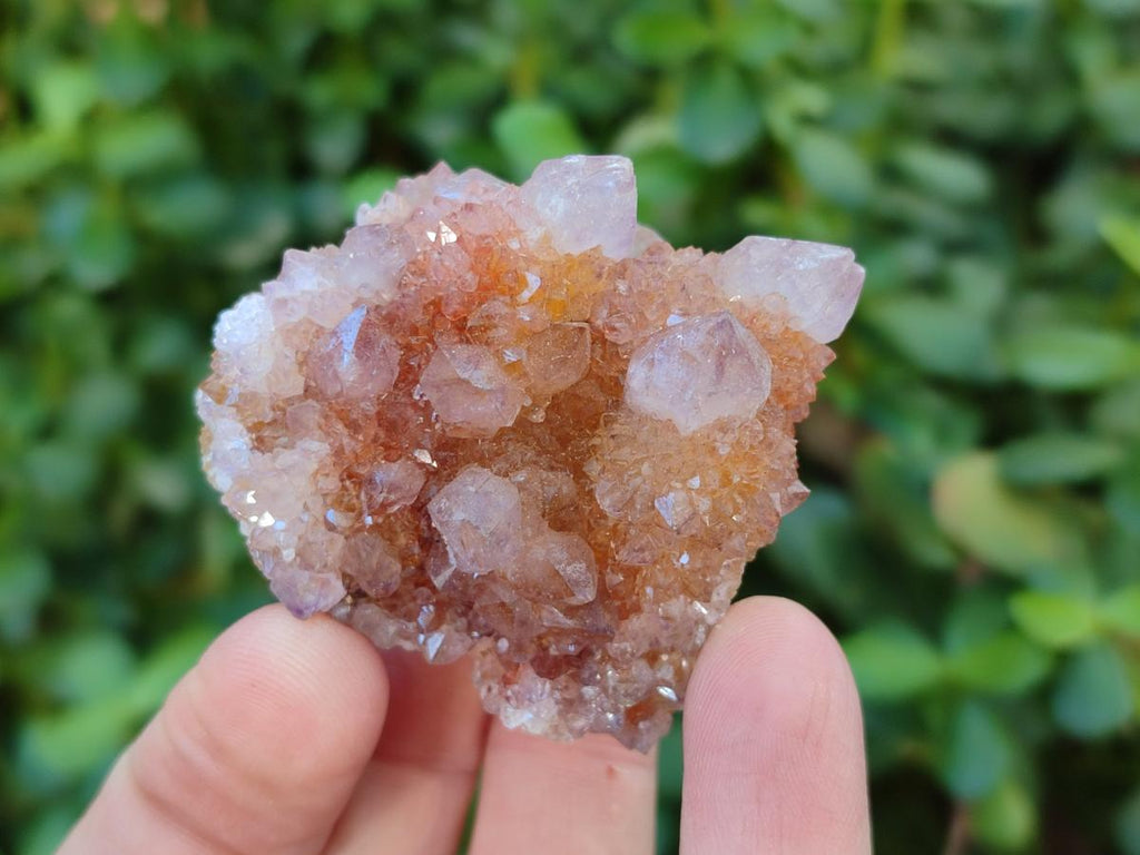 Natural Spirit Ametrine Clusters x 12 From Boekenhouthoek, South Africa - Toprock Gemstones and Minerals 