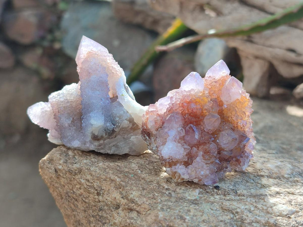 Natural Spirit Ametrine Clusters x 12 From Boekenhouthoek, South Africa - Toprock Gemstones and Minerals 
