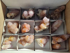Natural Spirit Ametrine Clusters x 12 From Boekenhouthoek, South Africa - Toprock Gemstones and Minerals 