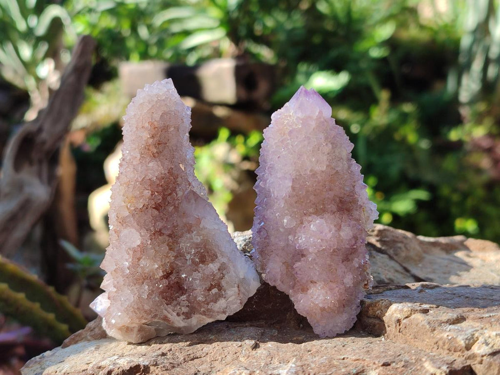 Natural Spirit Ametrine Clusters x 12 From Boekenhouthoek, South Africa - Toprock Gemstones and Minerals 