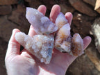 Natural Spirit Ametrine Clusters x 12 From Boekenhouthoek, South Africa - Toprock Gemstones and Minerals 