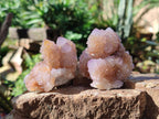 Natural Spirit Ametrine Clusters x 12 From Boekenhouthoek, South Africa - Toprock Gemstones and Minerals 