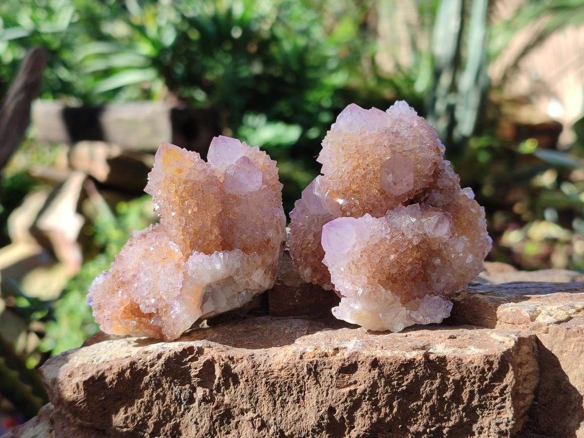 Natural Spirit Ametrine Clusters x 12 From Boekenhouthoek, South Africa - Toprock Gemstones and Minerals 