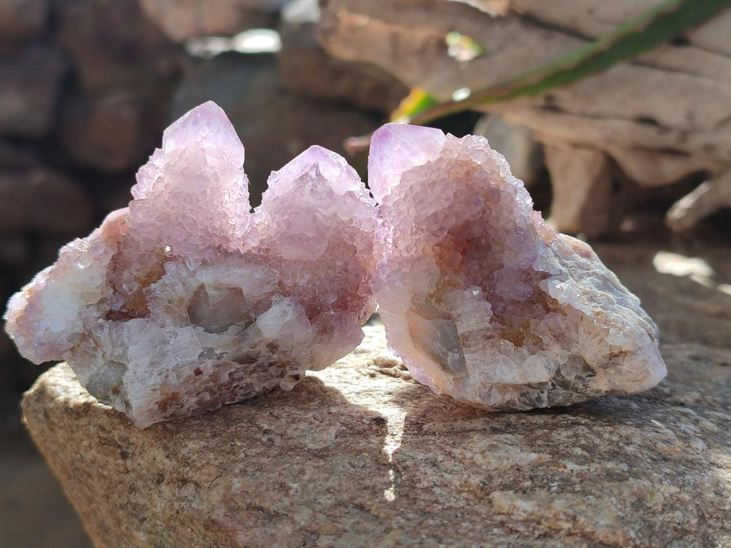 Natural Spirit Ametrine Clusters x 12 From Boekenhouthoek, South Africa - Toprock Gemstones and Minerals 
