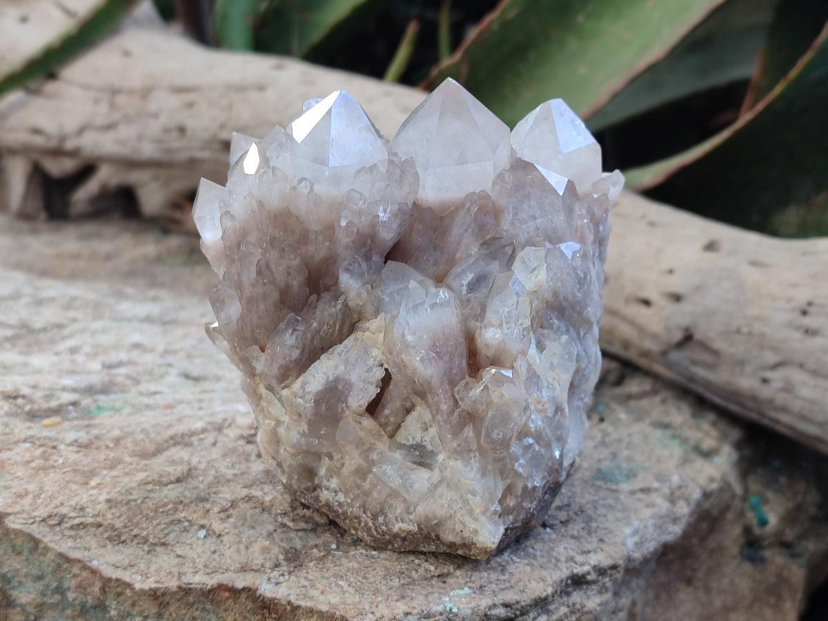 Natural Cascading White Phantom Smokey Luena Quartz Clusters x 2 From Luena, Congo - Toprock Gemstones and Minerals 