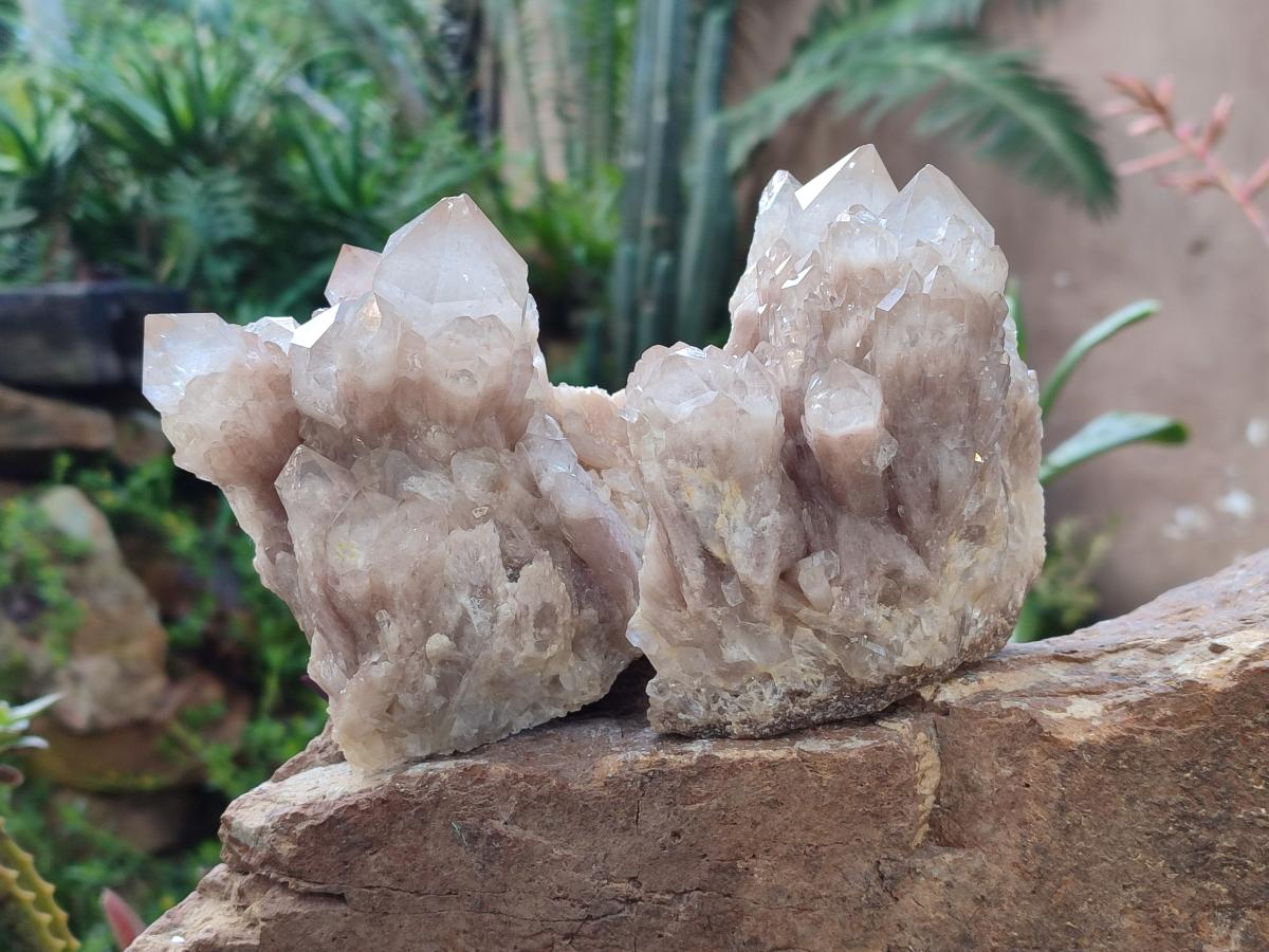 Natural Cascading White Phantom Smokey Luena Quartz Clusters x 2 From Luena, Congo - Toprock Gemstones and Minerals 