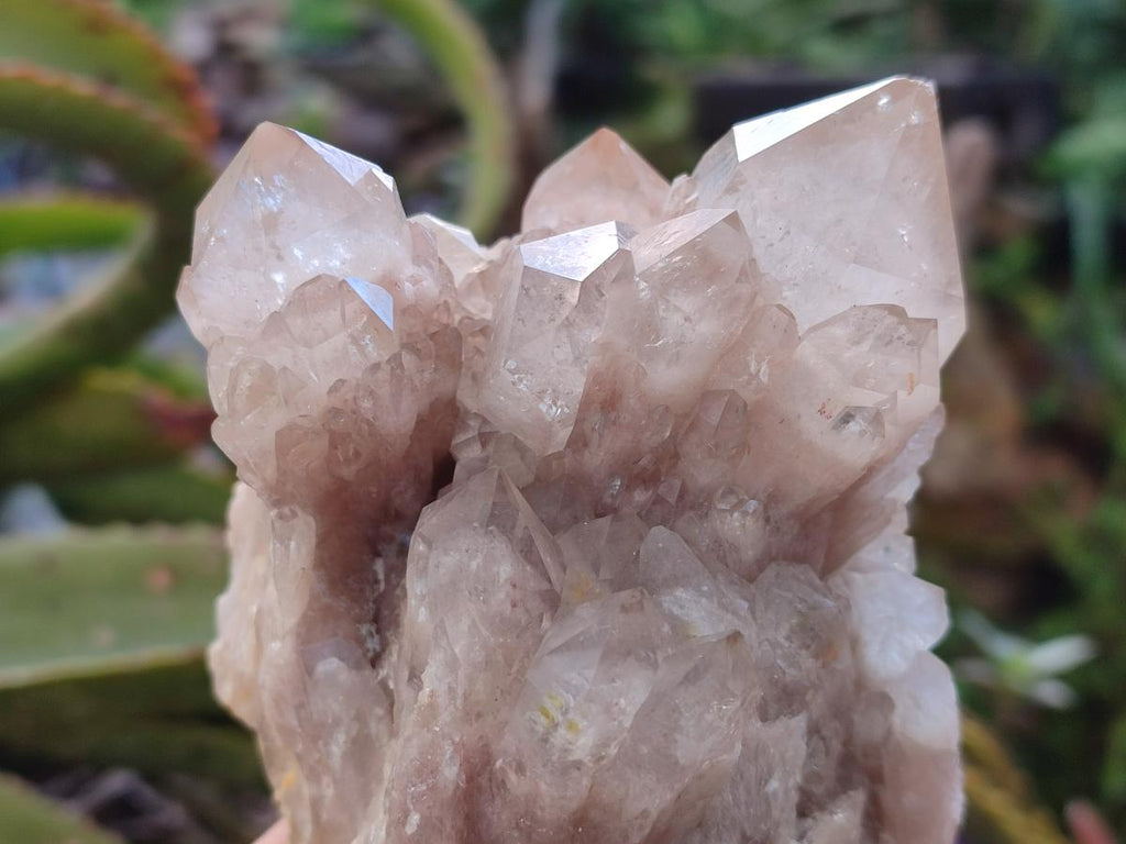 Natural Cascading White Phantom Smokey Luena Quartz Clusters x 2 From Luena, Congo - Toprock Gemstones and Minerals 