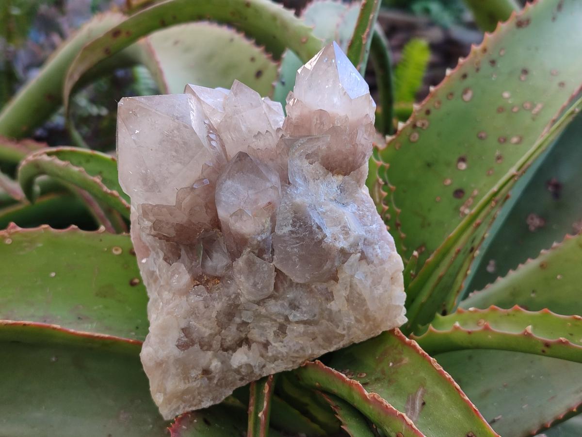 Natural Cascading White Phantom Smokey Luena Quartz Clusters x 2 From Luena, Congo - Toprock Gemstones and Minerals 