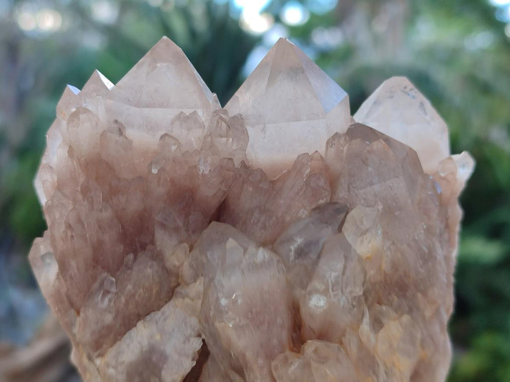 Natural Cascading White Phantom Smokey Luena Quartz Clusters x 2 From Luena, Congo - Toprock Gemstones and Minerals 