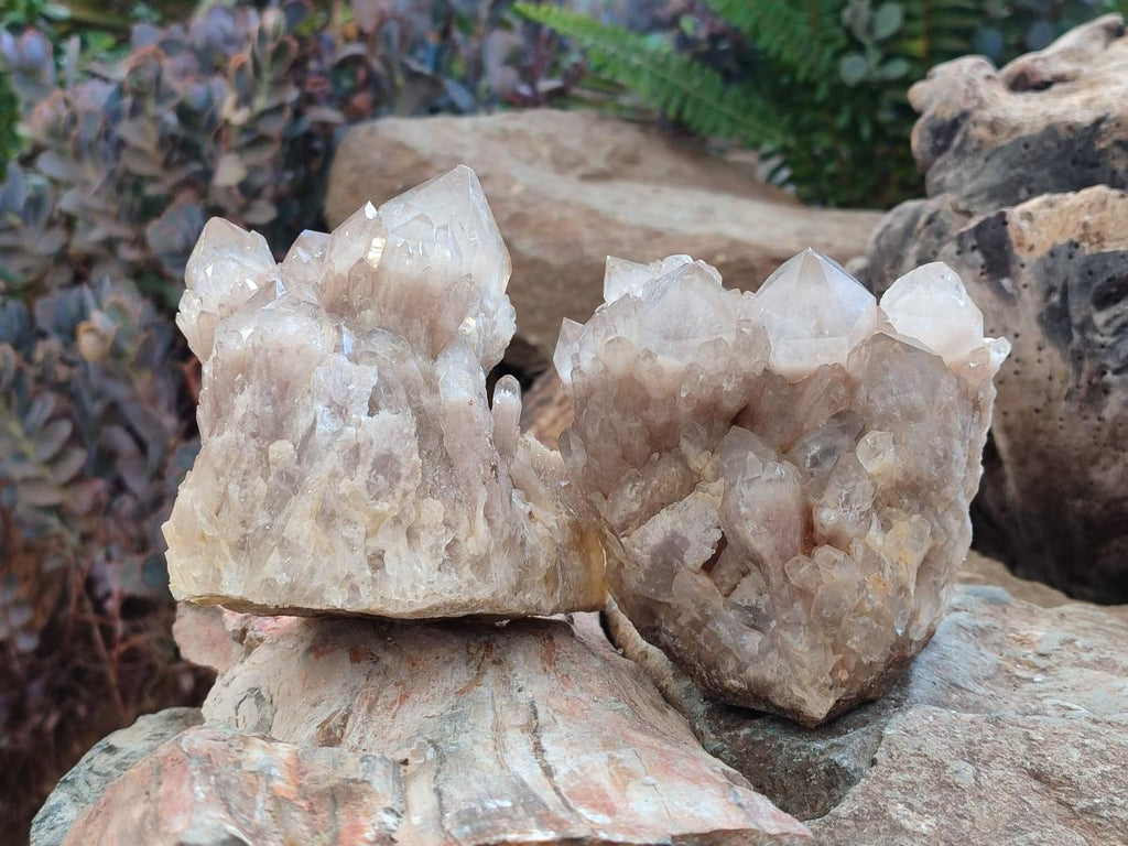 Natural Cascading White Phantom Smokey Luena Quartz Clusters x 2 From Luena, Congo - Toprock Gemstones and Minerals 