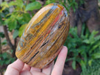 Polished Golden Tigers Eye Standing Display Pieces x 3 From Prieska, South Africa - Toprock Gemstones and Minerals 