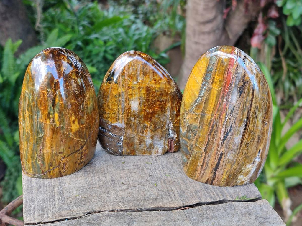 Polished Golden Tigers Eye Standing Display Pieces x 3 From Prieska, South Africa - Toprock Gemstones and Minerals 