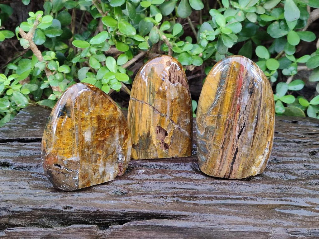 Polished Golden Tigers Eye Standing Display Pieces x 3 From Prieska, South Africa - Toprock Gemstones and Minerals 