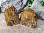 Polished Golden Tigers Eye Standing Display Pieces x 3 From Prieska, South Africa - Toprock Gemstones and Minerals 