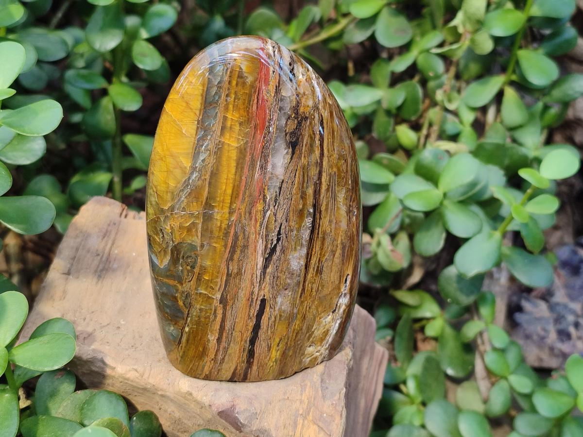Polished Golden Tigers Eye Standing Display Pieces x 3 From Prieska, South Africa - Toprock Gemstones and Minerals 