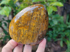 Polished Golden Tigers Eye Standing Display Pieces x 3 From Prieska, South Africa - Toprock Gemstones and Minerals 