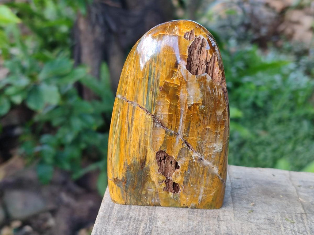 Polished Golden Tigers Eye Standing Display Pieces x 3 From Prieska, South Africa - Toprock Gemstones and Minerals 