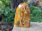 Polished Golden Tigers Eye Standing Display Pieces x 3 From Prieska, South Africa - Toprock Gemstones and Minerals 