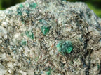Natural Emerald Mica 'Mutokolite' Cobbed Specimens x 6 From Mutoko, Zimbabwe - Toprock Gemstones and Minerals 