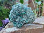 Natural Emerald Mica 'Mutokolite' Cobbed Specimens x 6 From Mutoko, Zimbabwe - Toprock Gemstones and Minerals 