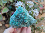 Natural Emerald Mica 'Mutokolite' Cobbed Specimens x 6 From Mutoko, Zimbabwe - Toprock Gemstones and Minerals 