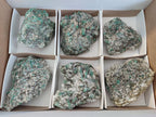 Natural Emerald Mica 'Mutokolite' Cobbed Specimens x 6 From Mutoko, Zimbabwe - Toprock Gemstones and Minerals 