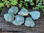 Natural Emerald Mica 'Mutokolite' Cobbed Specimens x 6 From Mutoko, Zimbabwe - Toprock Gemstones and Minerals 