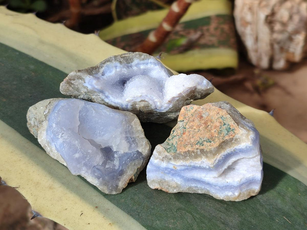 Natural Blue Lace Agate Specimens x 24 From Nsanje, Malawi - Toprock Gemstones and Minerals 