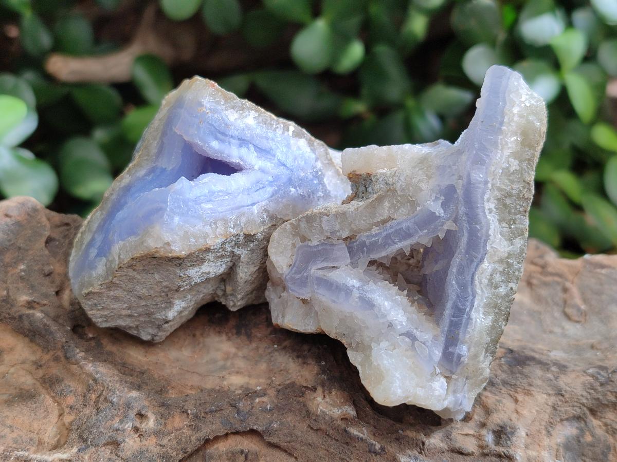 Natural Blue Lace Agate Specimens x 24 From Nsanje, Malawi - Toprock Gemstones and Minerals 