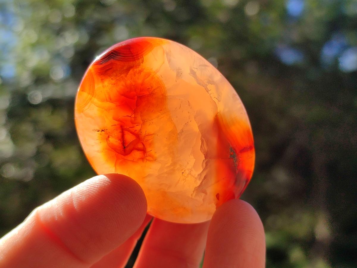 Polished Carnelian Agate Gemstone Galets x 35 From Madagascar - Toprock Gemstones and Minerals 