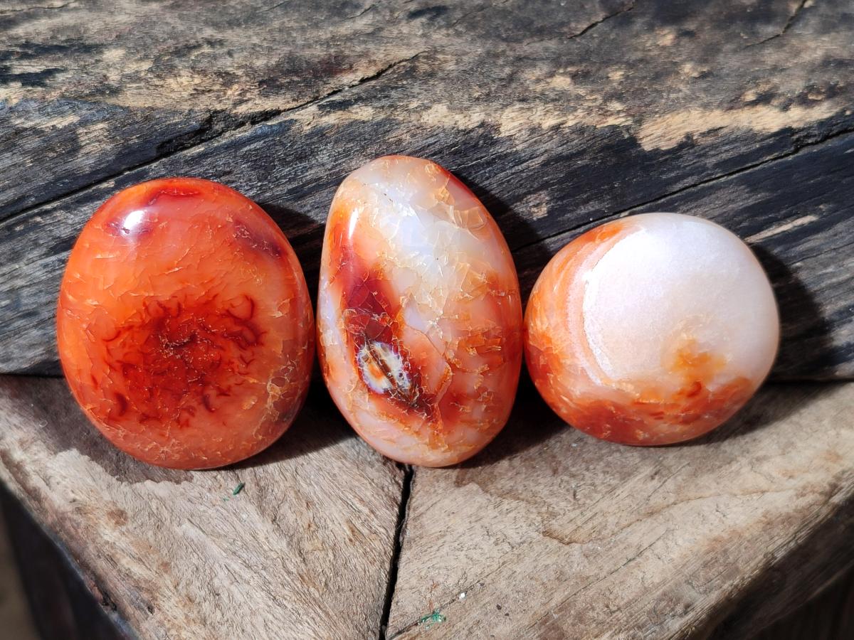 Polished Carnelian Agate Gemstone Galets x 35 From Madagascar - Toprock Gemstones and Minerals 