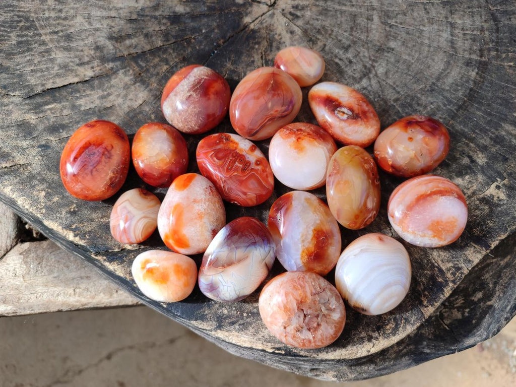 Polished Carnelian Agate Gemstone Galets x 35 From Madagascar - Toprock Gemstones and Minerals 