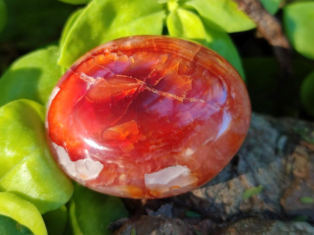 Polished Carnelian Agate Gemstone Galets x 35 From Madagascar - Toprock Gemstones and Minerals 