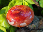 Polished Carnelian Agate Gemstone Galets x 35 From Madagascar - Toprock Gemstones and Minerals 