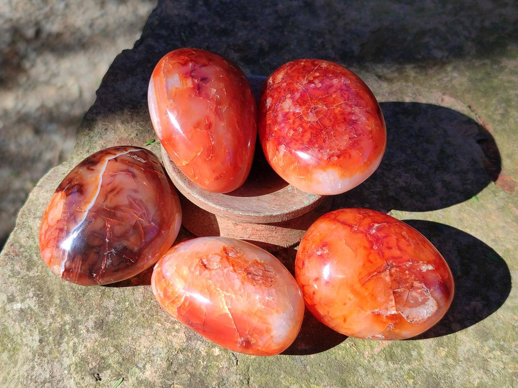 Polished Carnelian Agate Gemstone Galets x 35 From Madagascar - Toprock Gemstones and Minerals 