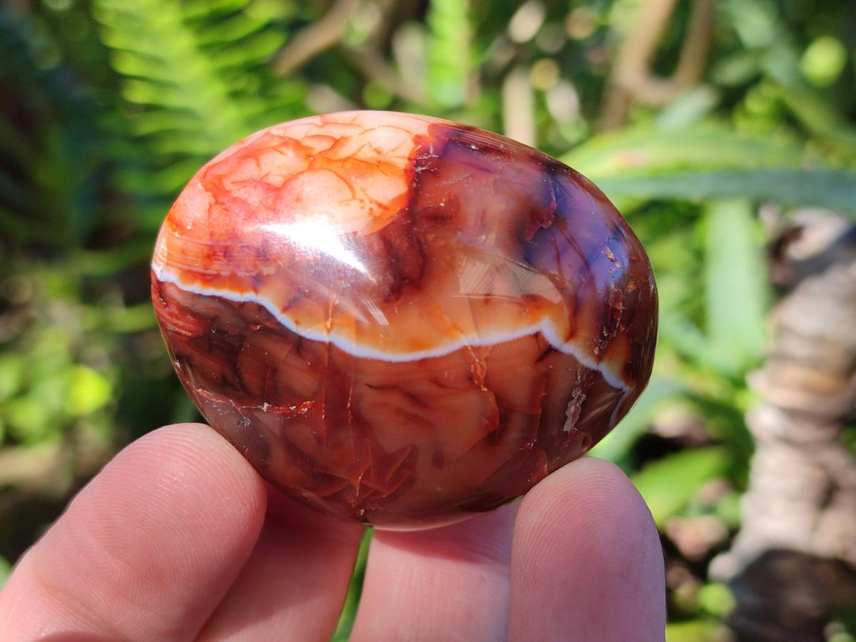 Polished Carnelian Agate Gemstone Galets x 35 From Madagascar - Toprock Gemstones and Minerals 