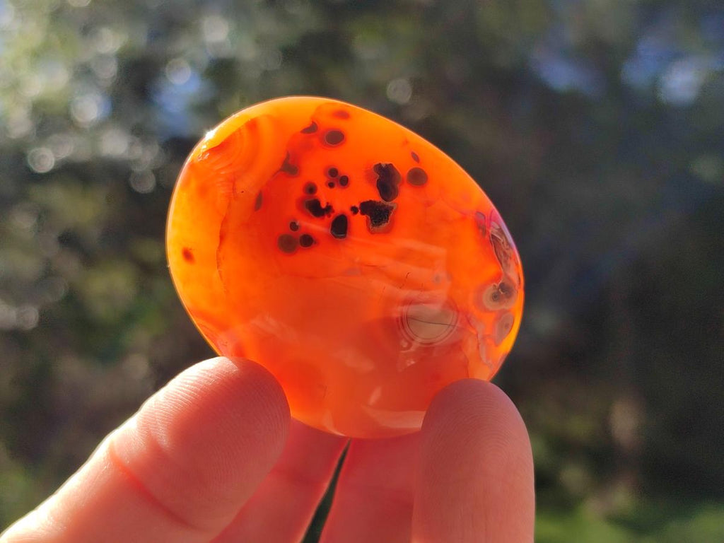 Polished Carnelian Agate Gemstone Galets x 35 From Madagascar - Toprock Gemstones and Minerals 