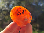 Polished Carnelian Agate Gemstone Galets x 35 From Madagascar - Toprock Gemstones and Minerals 