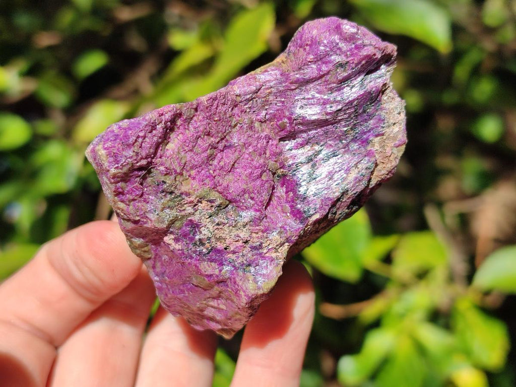 Natural Cobbed Stichtite Specimens x 12 From Barberton, South Africa - Toprock Gemstones and Minerals 