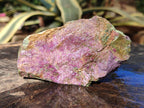 Natural Cobbed Stichtite Specimens x 12 From Barberton, South Africa - Toprock Gemstones and Minerals 