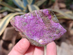 Natural Cobbed Stichtite Specimens x 12 From Barberton, South Africa - Toprock Gemstones and Minerals 