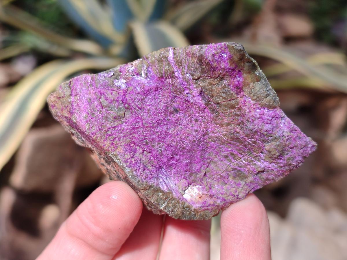 Natural Cobbed Stichtite Specimens x 12 From Barberton, South Africa - Toprock Gemstones and Minerals 