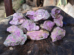 Natural Cobbed Stichtite Specimens x 12 From Barberton, South Africa - Toprock Gemstones and Minerals 