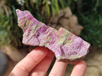 Natural Cobbed Stichtite Specimens x 12 From Barberton, South Africa - Toprock Gemstones and Minerals 